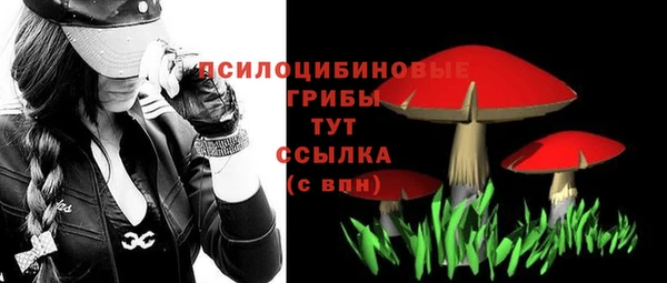 МДМА Беломорск