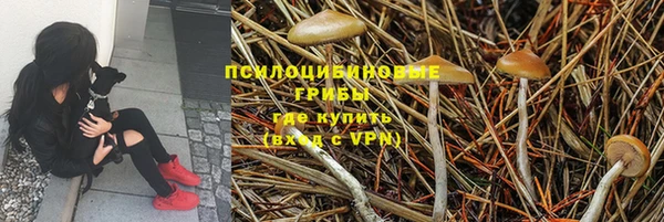 PSILOCYBIN Белокуриха